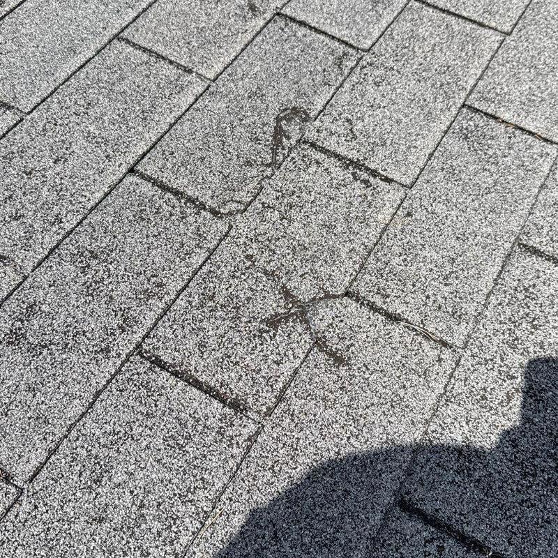 Asphalt shingles with hail damage and surface cracks