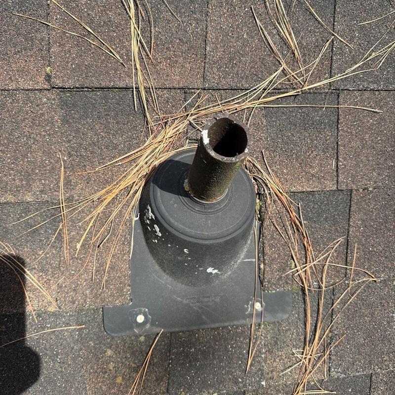 Roof vent pipe flashing with surrounding pine needles on shingles