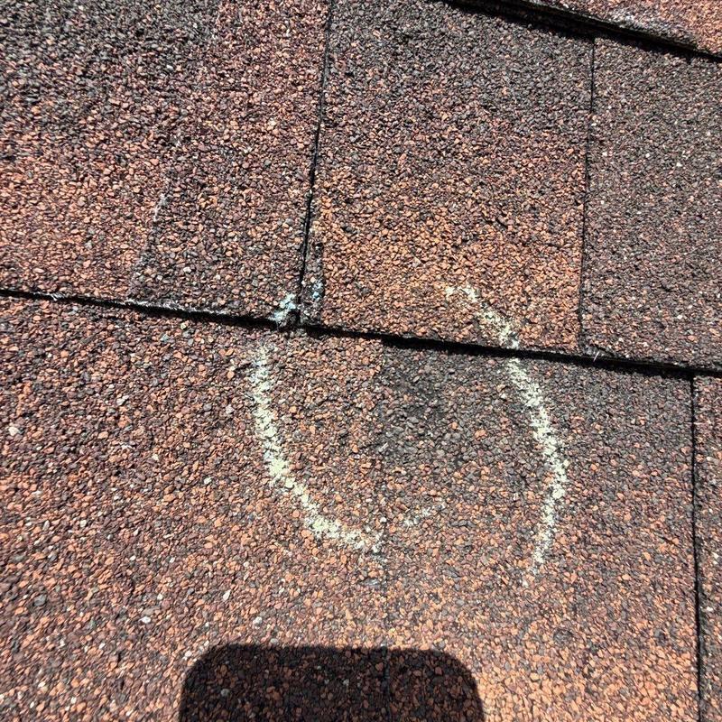 Asphalt roof shingles with hail damage circled in chalk