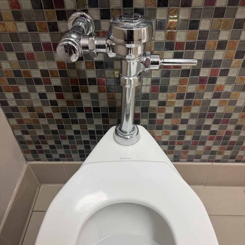 Toilet flush valve and fixture with mosaic tile wall Toilet flush valve and fixture with mosaic tile wall