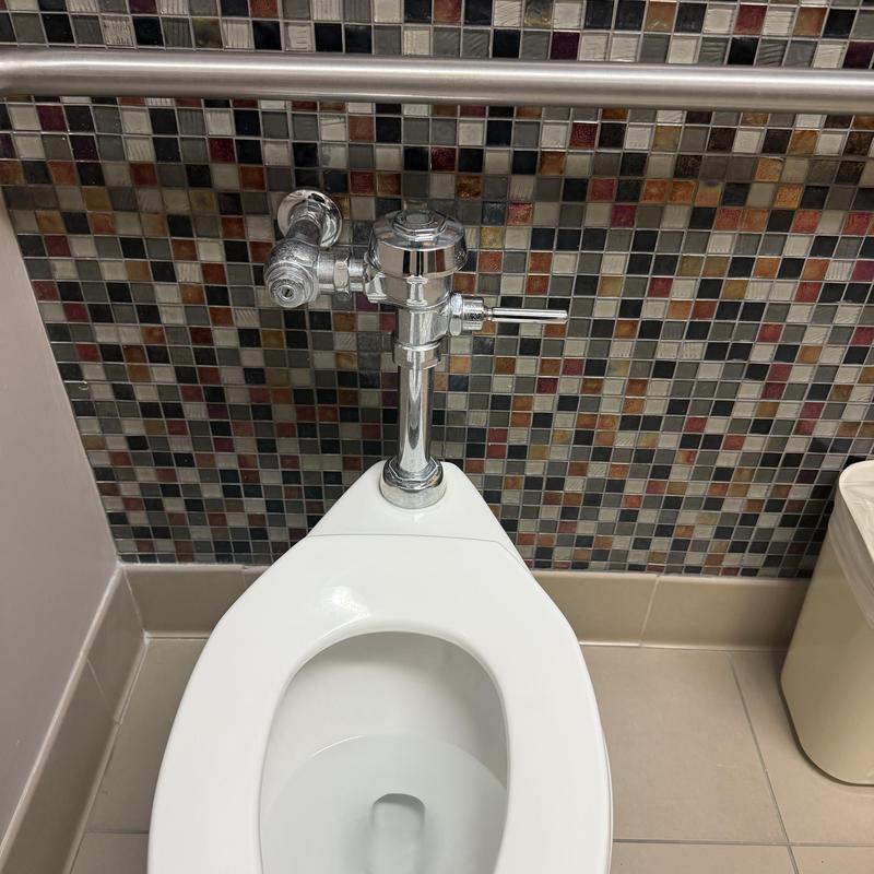 Flush valve on commercial toilet with mosaic tile wall Flush valve on commercial toilet with mosaic tile wall