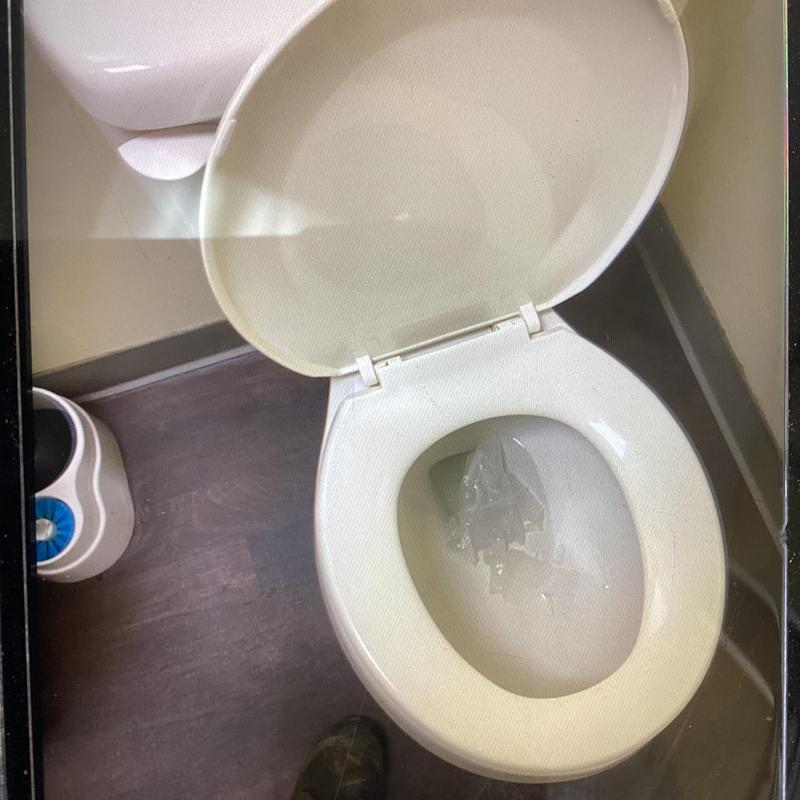 Toilet bowl with open lid and visible water inside