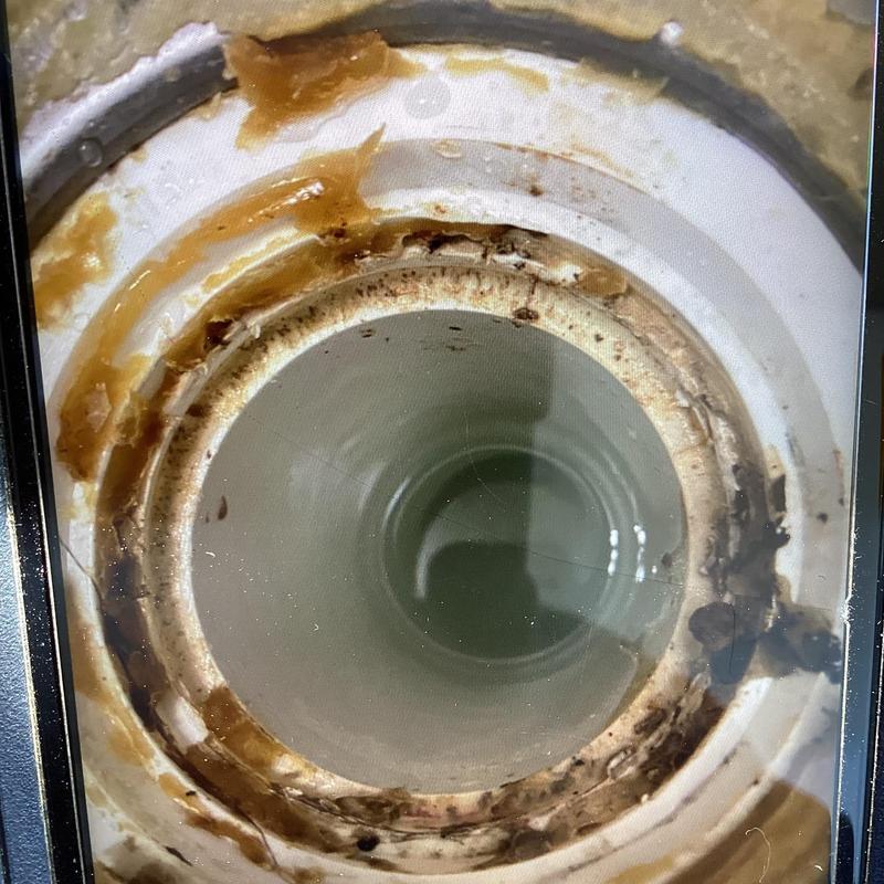 Toilet mainline pipe interior with buildup and residue