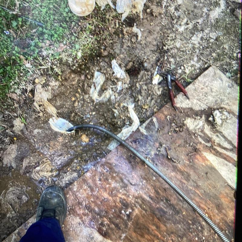 Mainline sewer cleanout with plumbing snake tool