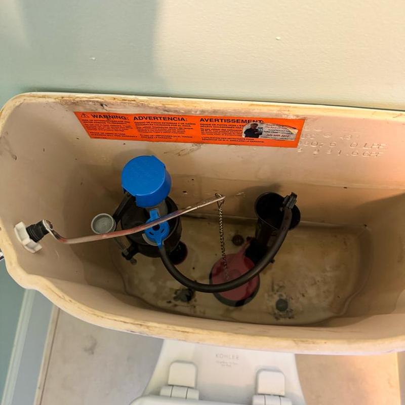 Kohler toilet flush valve and fill valve replacement Kohler toilet flush valve and fill valve replacement