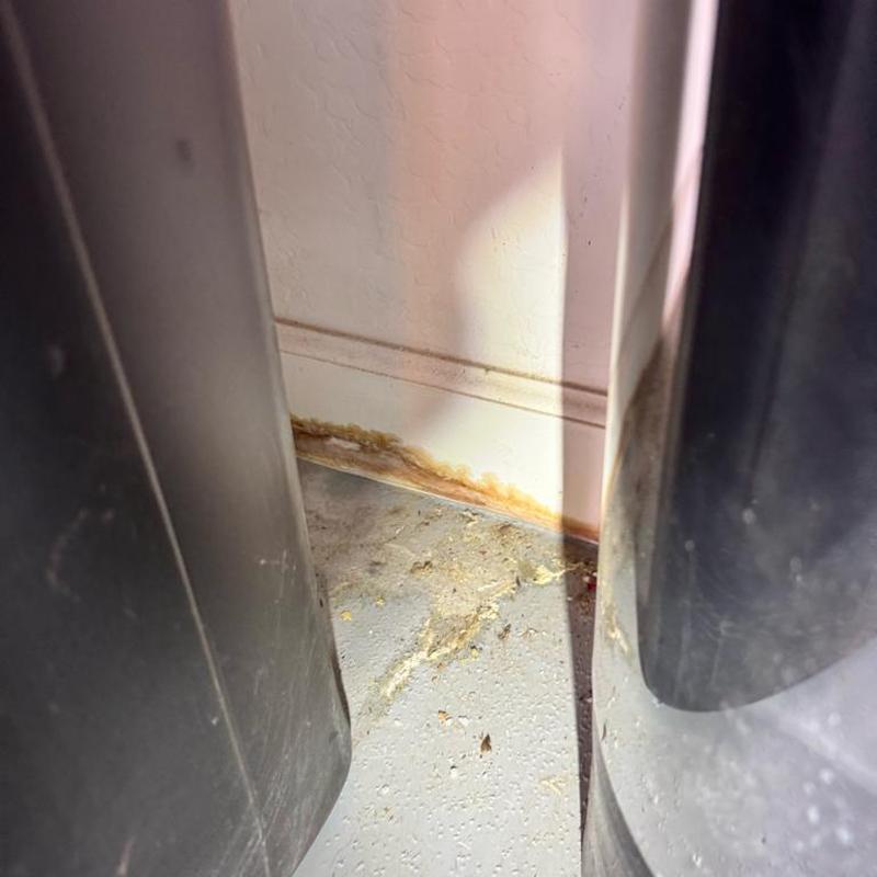 Water damage stain on wall baseboard near floor