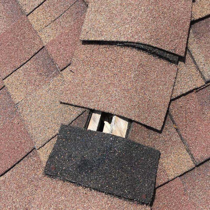 Hickory GAF Timberline shingle with damage exposed wood
