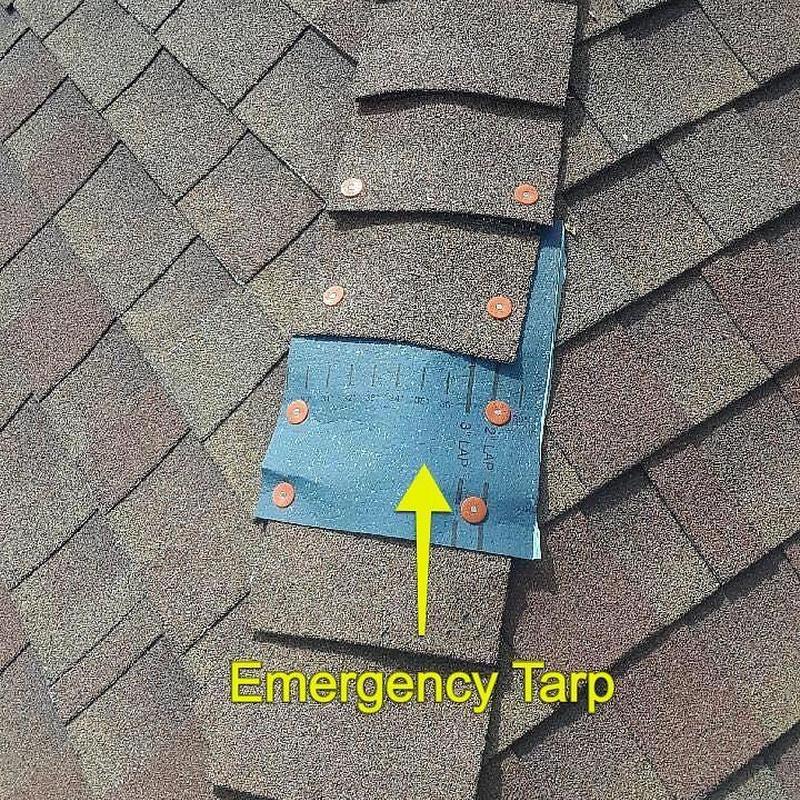 Roof emergency tarp with secured shingles