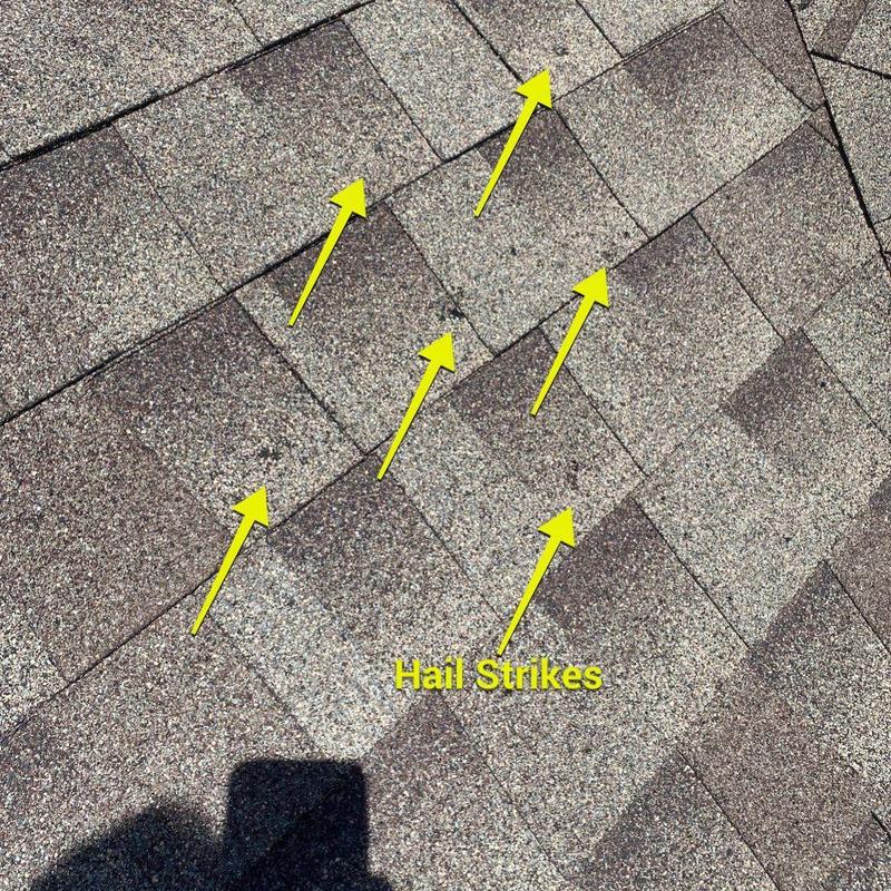 Roof shingles with hail strike damage marked by arrows