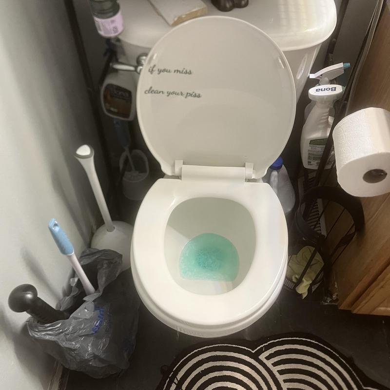 Toilet with open lid showing blue water and cleaning tools nearby Toilet with open lid showing blue water and cleaning tools nearby