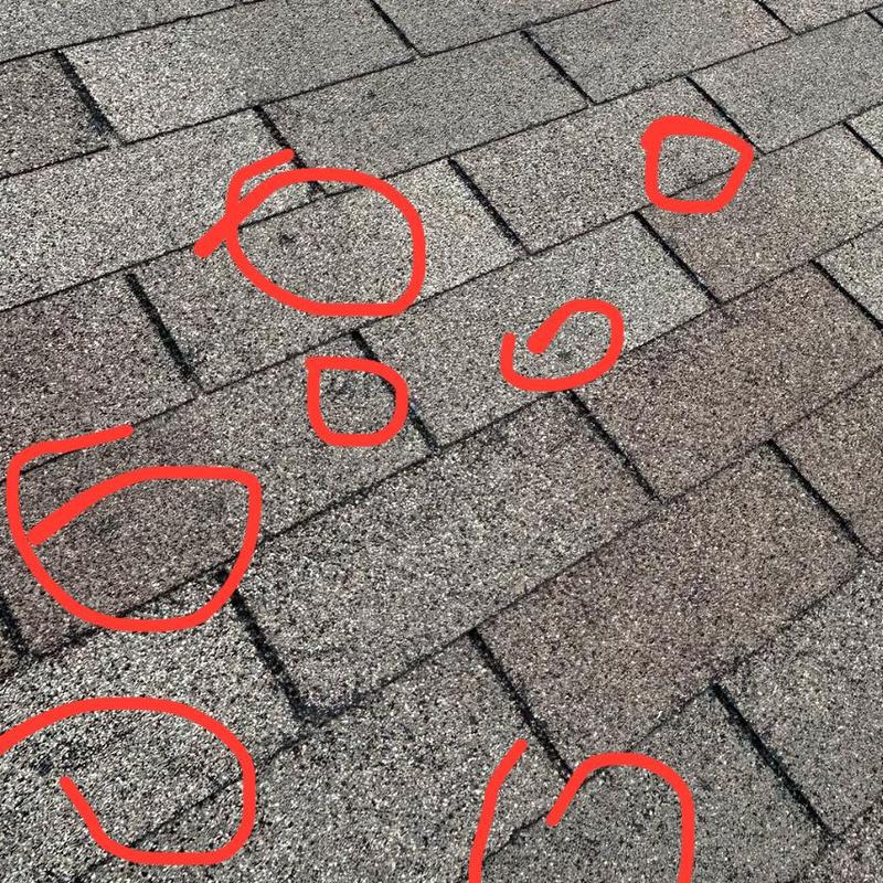 Asphalt shingle roof with hail damage marked in red circles