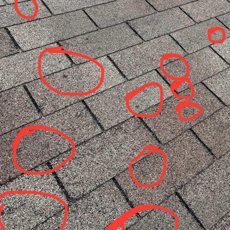 Asphalt shingle roof with hail damage circled in red