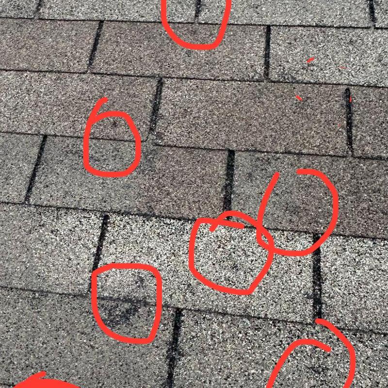 Asphalt shingle roof with hail damage circled in red