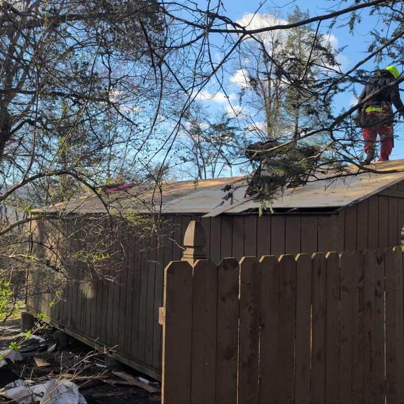 Shed roof with plywood sheathing installation in progress