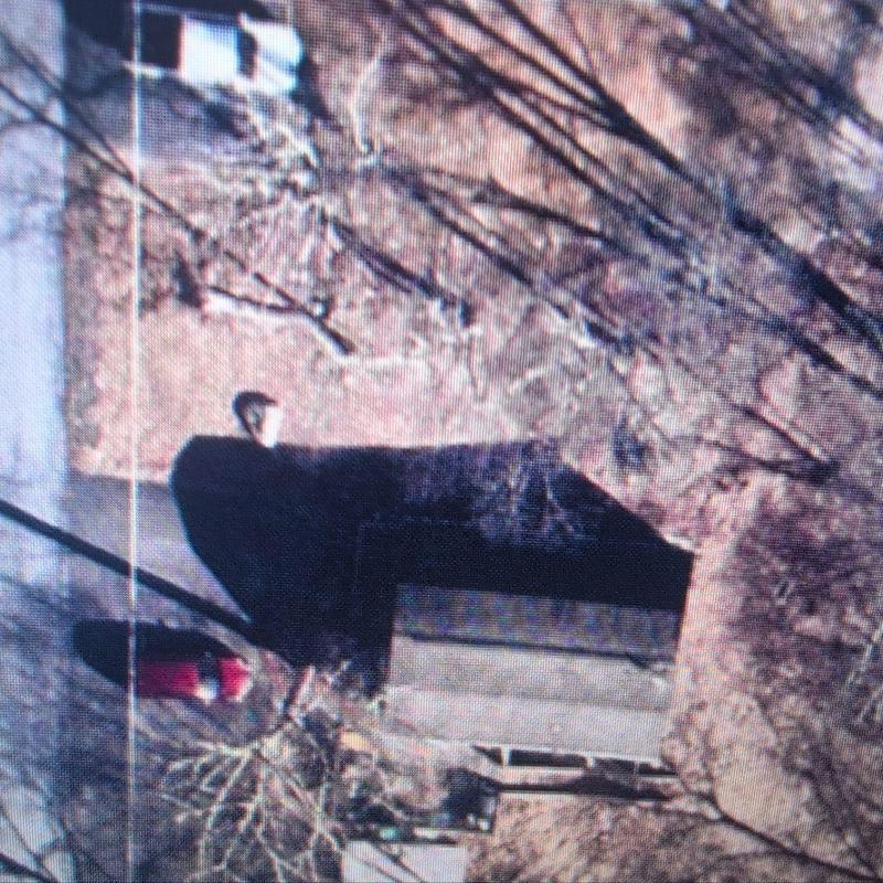 Roof shingles inspection on residential house in Bushkill PA