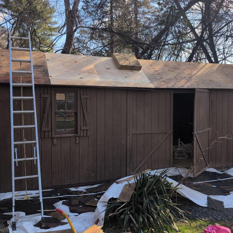 Shed plywood replacement on roof with ladder nearby