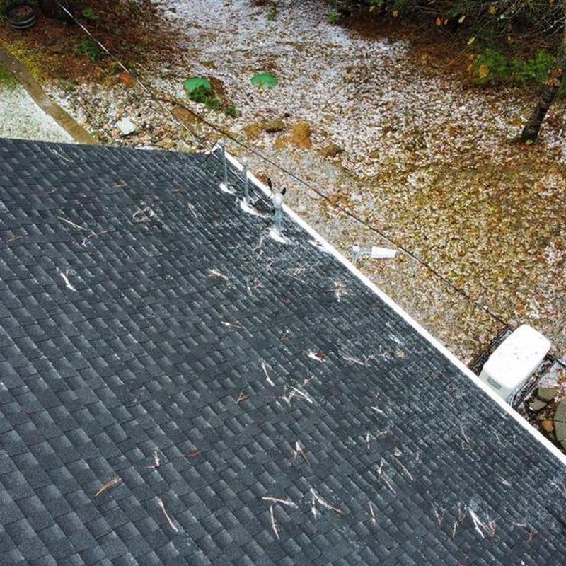 Asphalt shingle roof with tree debris removal in Arnold