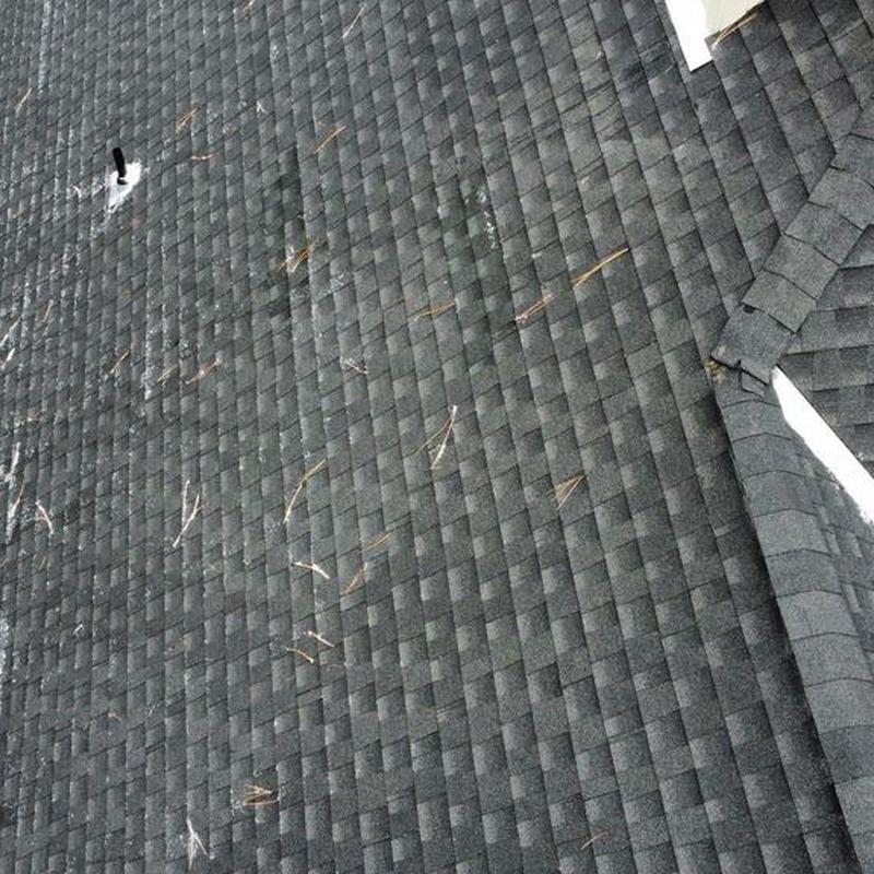 Asphalt shingle roof with minor branch debris removal