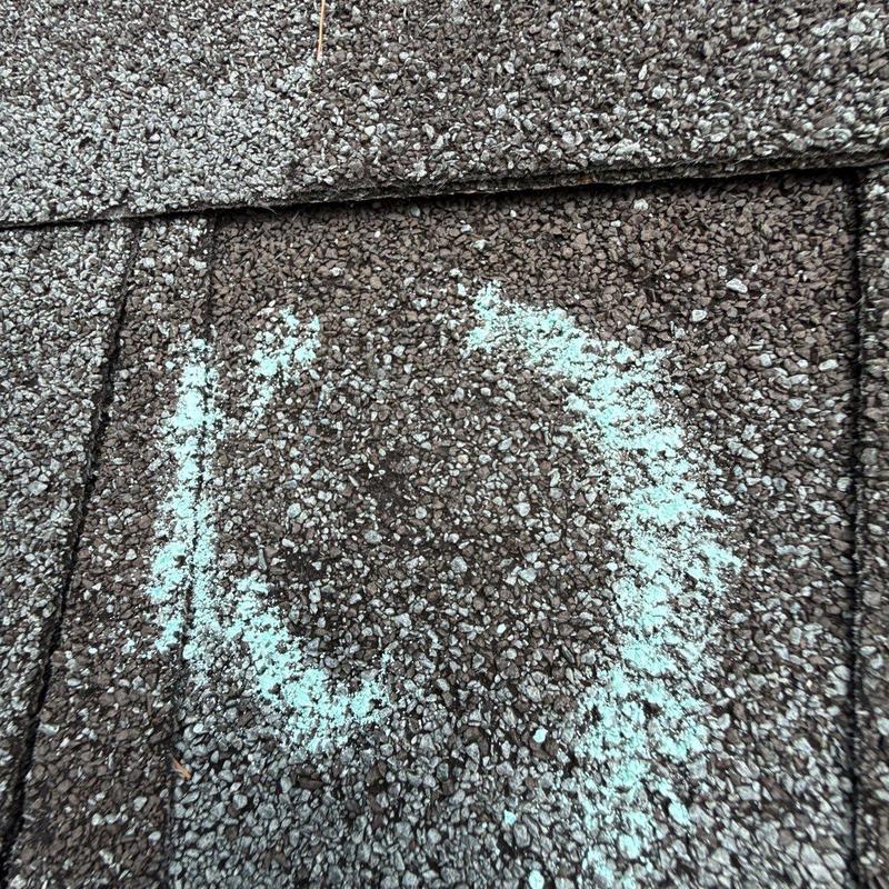 Asphalt roof shingle with hail damage marked in chalk