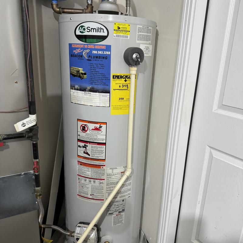 Water heater with flush and temperature adjustment Water heater with flush and temperature adjustment