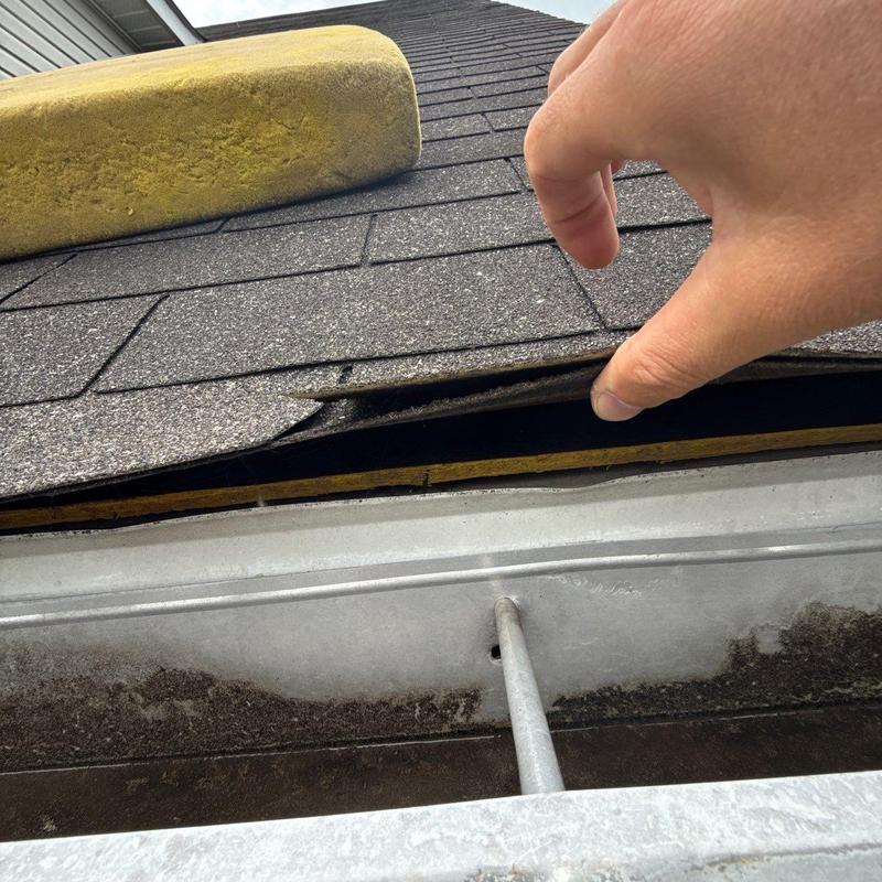 Asphalt shingle roof with lifted damaged shingle edge