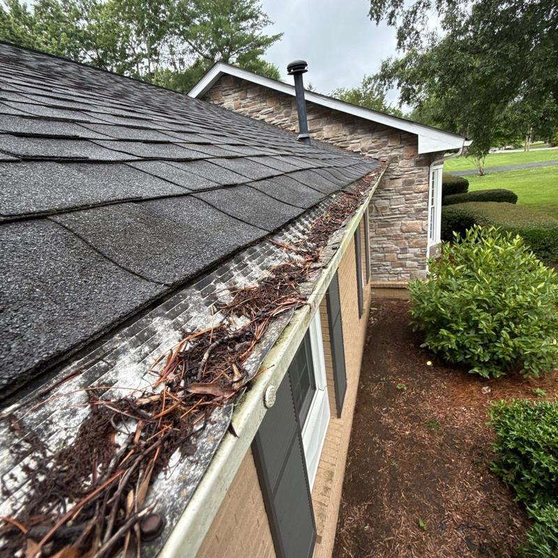 Roof shingles and gutter with debris buildup