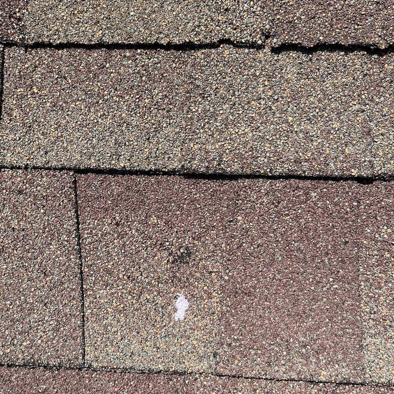 Roof shingles with hail damage and granule loss