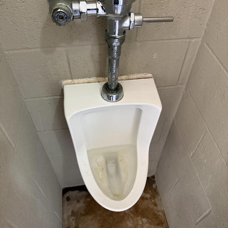 Urinal flush valve with plumbing connections