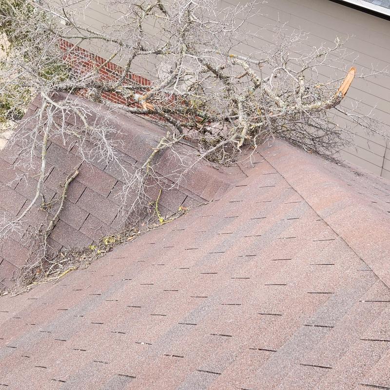 GAF Hickory shingles with wind and branch damage GAF Hickory shingles with wind and branch damage
