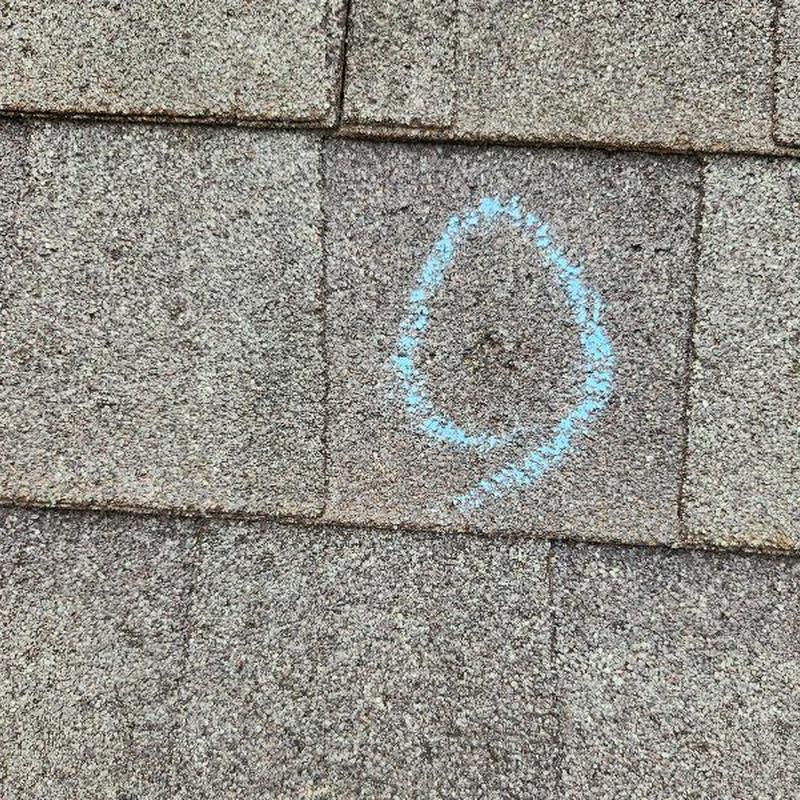 Asphalt roof shingles with hail damage marked in blue Asphalt roof shingles with hail damage marked in blue