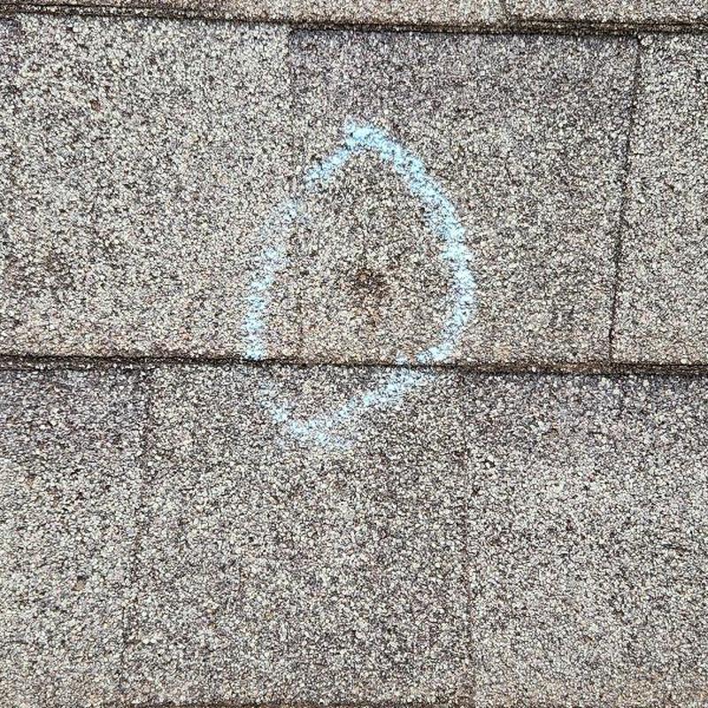 Roof shingles with hail damage circled in chalk Roof shingles with hail damage circled in chalk