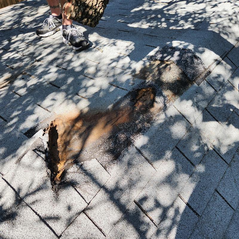 Roof shingles with tree damage on gray surface Roof shingles with tree damage on gray surface