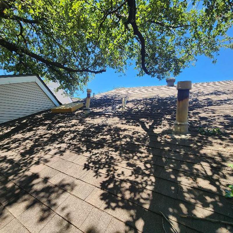 30-year GAF Weatherwood roof shingles under tree shade 30-year GAF Weatherwood roof shingles under tree shade