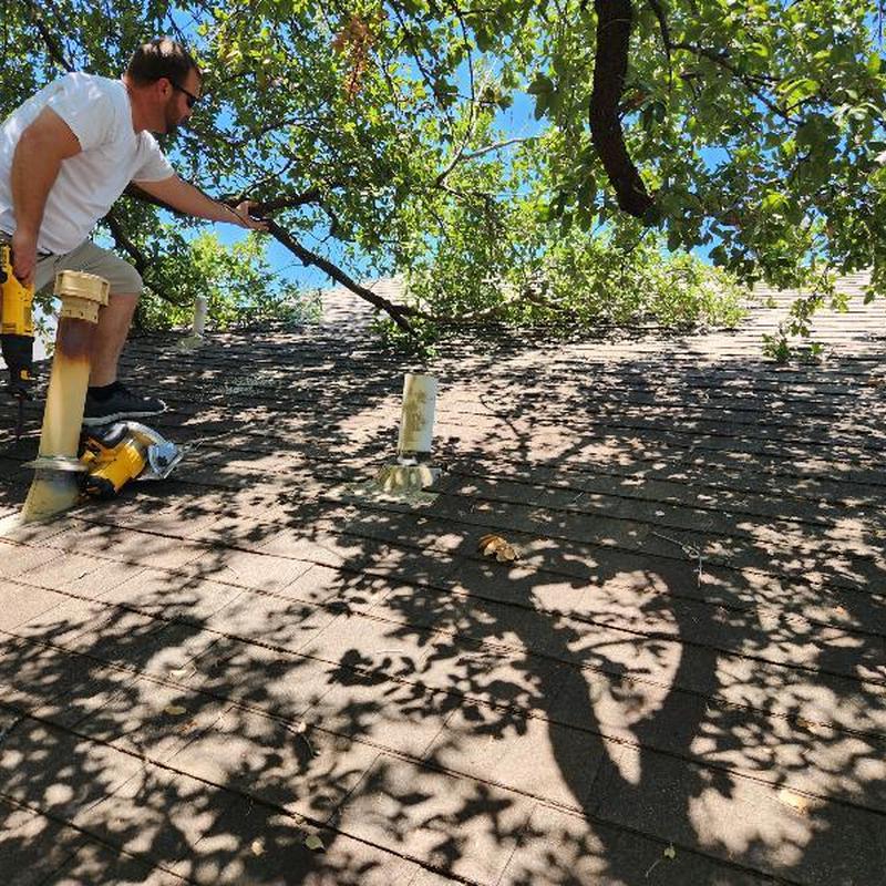 30-year GAF Weatherwood shingles with tree branch shadows 30-year GAF Weatherwood shingles with tree branch shadows