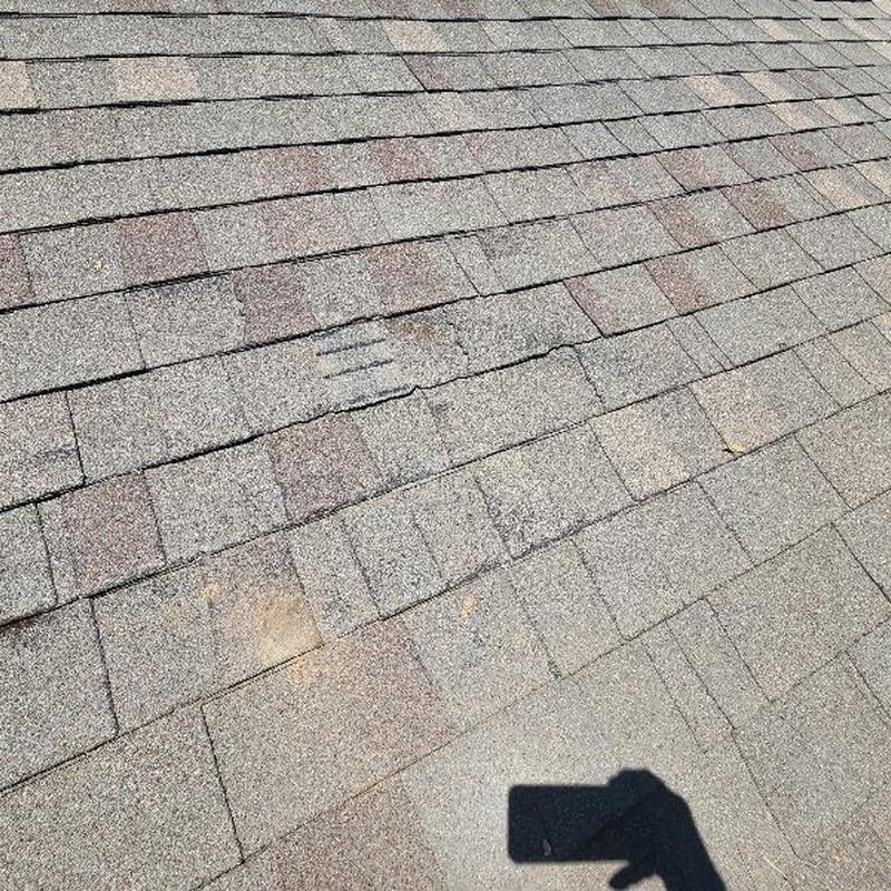 GAF Weatherwood shingles with tree damage marks GAF Weatherwood shingles with tree damage marks