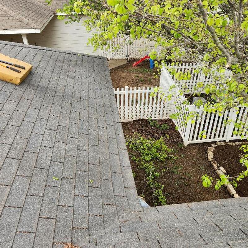 3-tab asphalt shingles on residential roof near tree 3-tab asphalt shingles on residential roof near tree