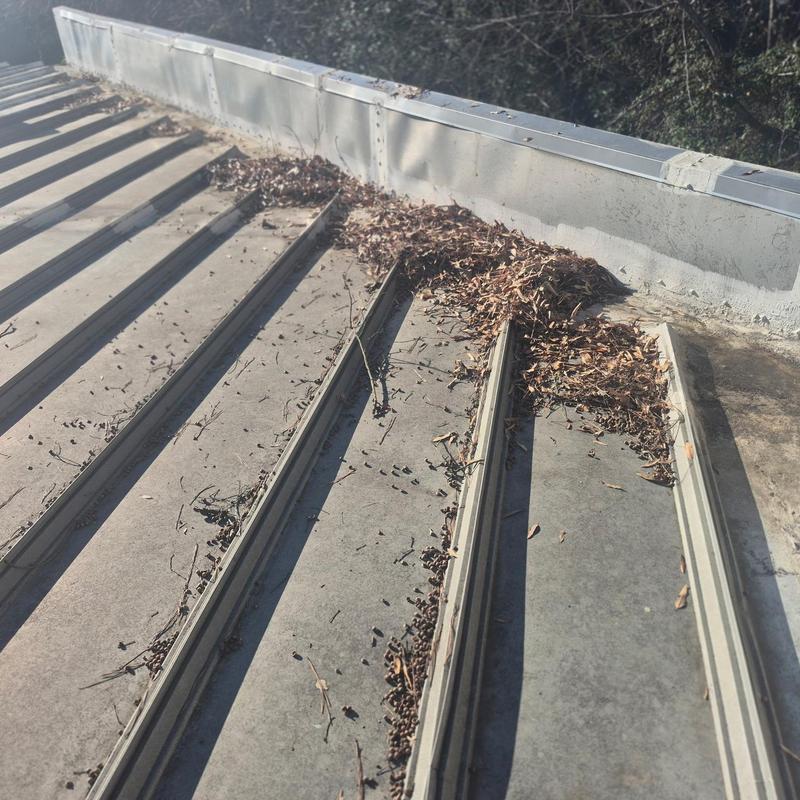 Metal roof panel ribs with accumulated debris near wall tie-in