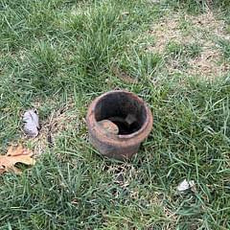 Curb riser pipe opening among grass and leaves