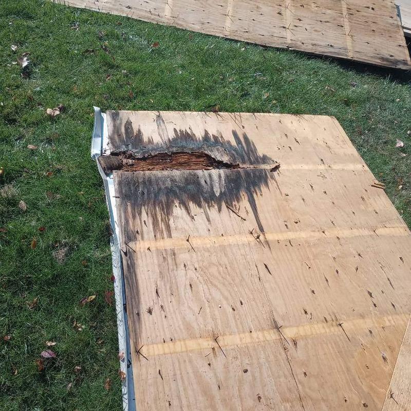 Plywood with water damage and rot removed from roof