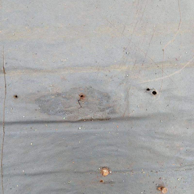 Metal roof with rusted and damaged nail holes