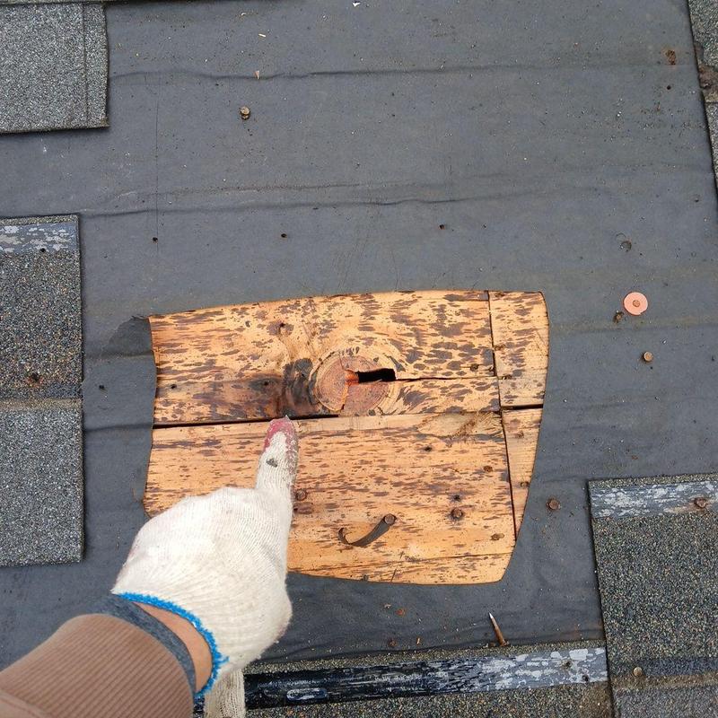 Roof plywood damaged under shingles on roof deck