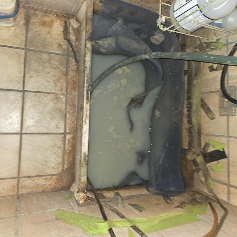 Mop sink drain with clogged screen cleaning in progress