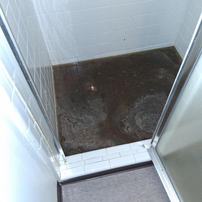 Shower drain with standing water and buildup