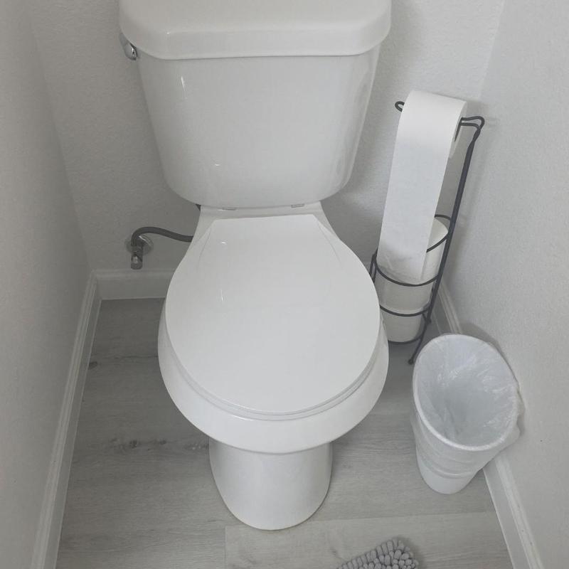 Toilet installation with new toilet and paper holder