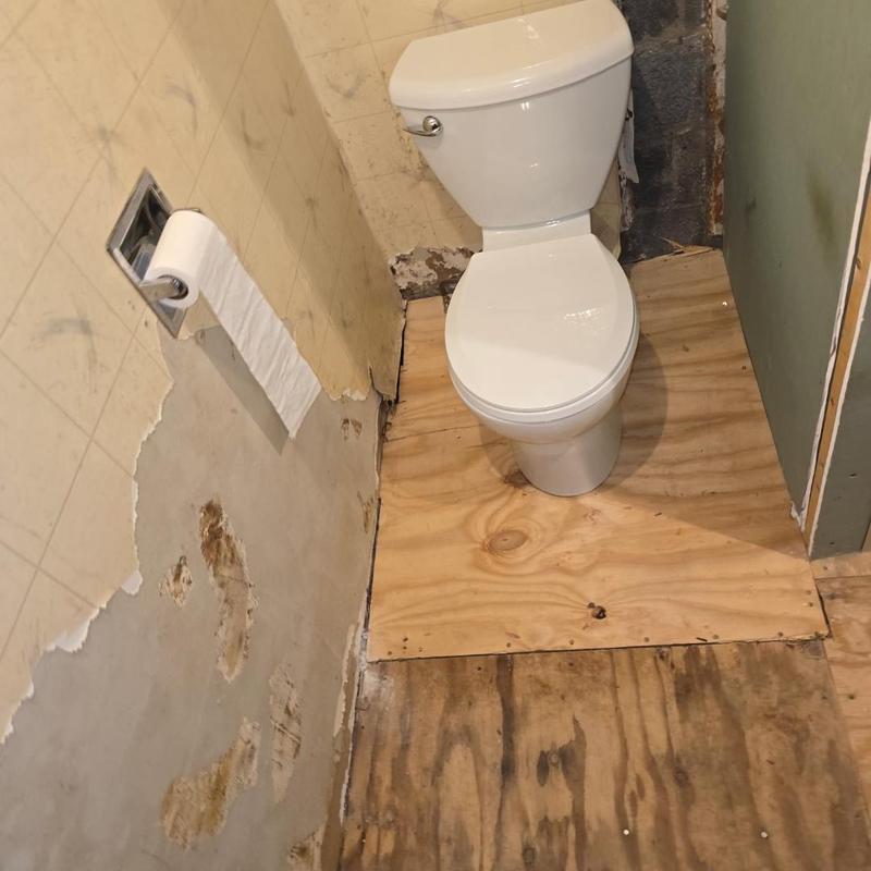 Toilet and subfloor replacement in bathroom remodel