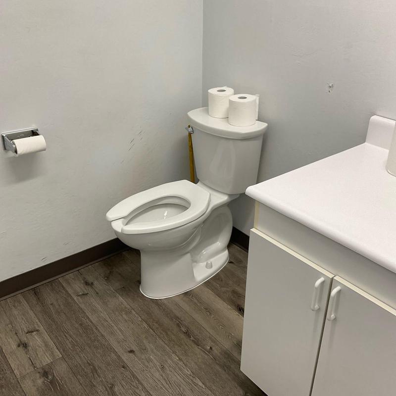 Handicap compliant height toilet with flange repair Handicap compliant height toilet with flange repair