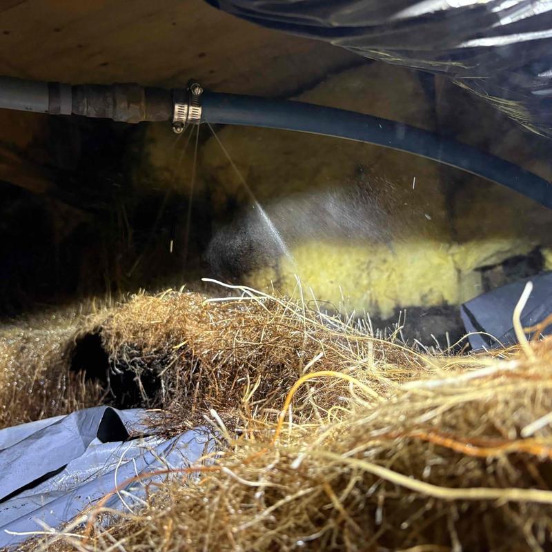 Water supply pipe leaking under crawl space insulation Water supply pipe leaking under crawl space insulation