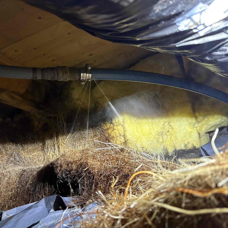 Leaking poly water pipe spraying under crawl space insulation Leaking poly water pipe spraying under crawl space insulation