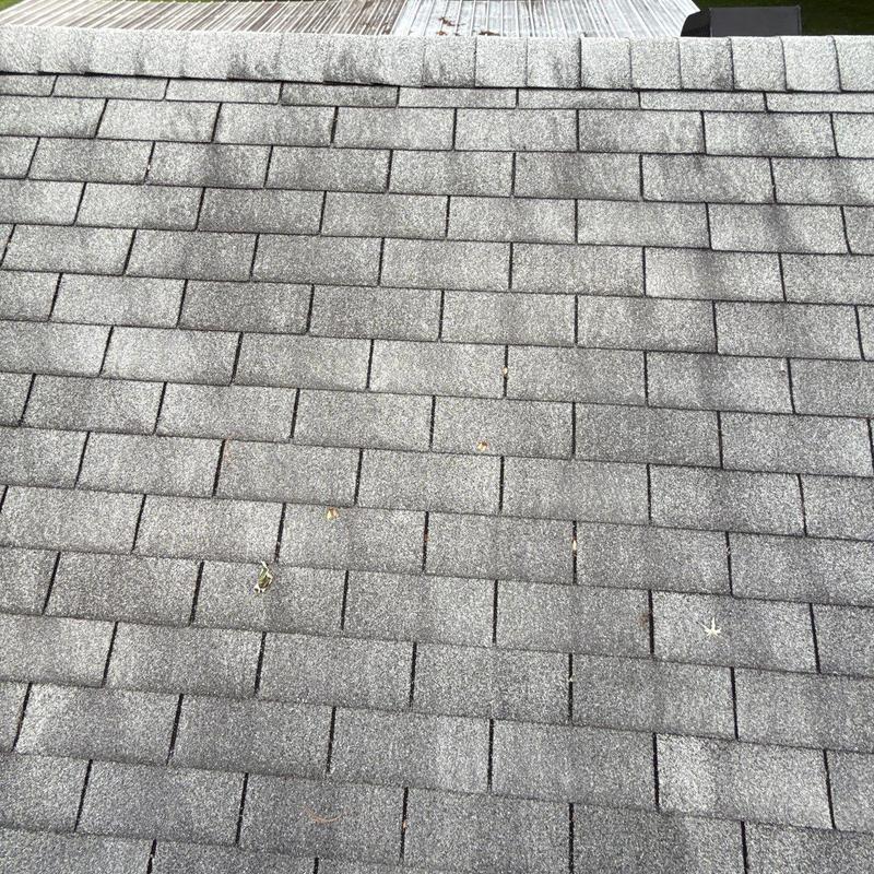 Asphalt shingle roof with hail damage and granule loss