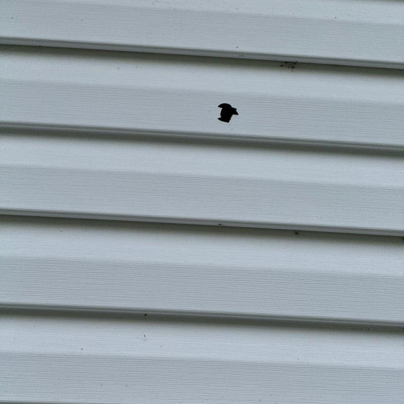 Vinyl siding hole with damaged area close-up